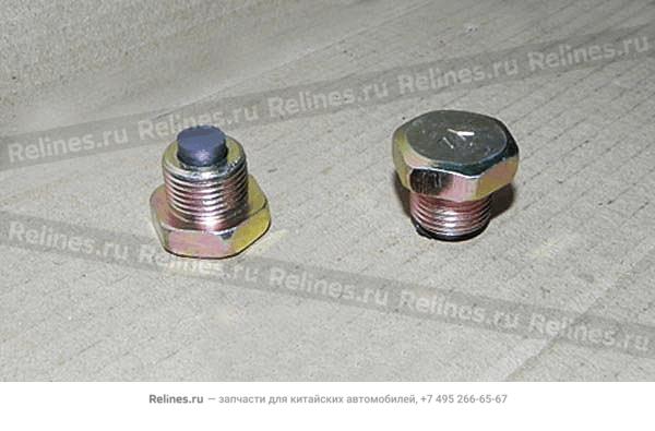 Drain plug-rr axle