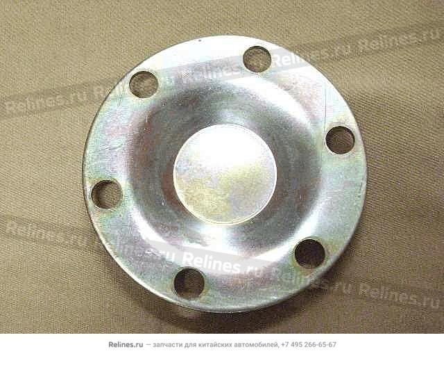 FR wheel hub cap - 3001***L00