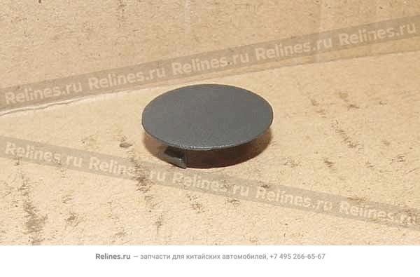 Cap - screw