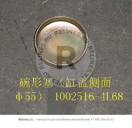 Bowl shape plug(side ¦µ55))