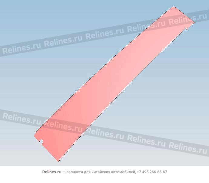 Плёнка задняя двери передней левой T19C
