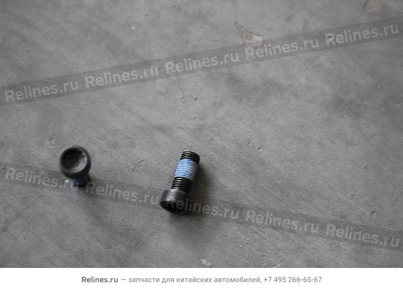 Flywheel bolt - 101***461