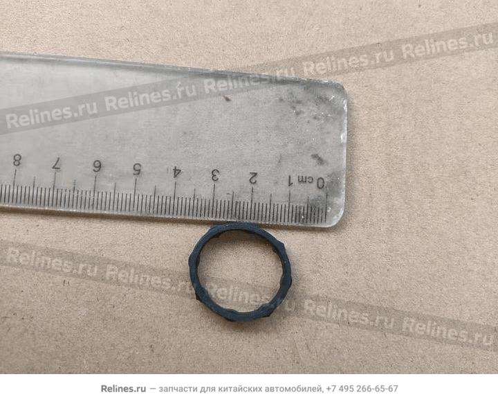 Sealing ring