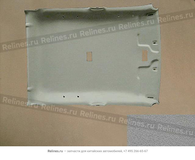 Roof liner assy - 570210***9-00CD