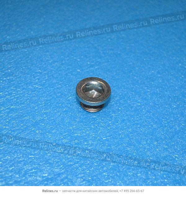 Screw plug - F621A***2043