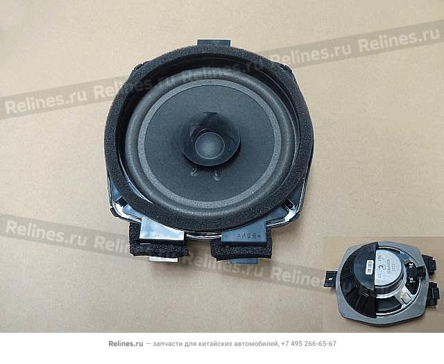 Speakerassy-frdoor - 7911***P00