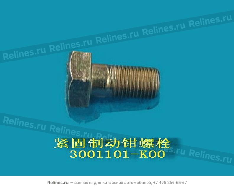 Bolt, fixing brake caliper