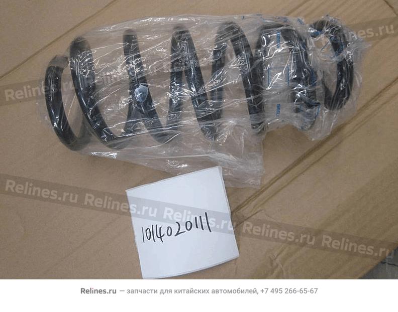 Rear suspension coil spring - 101***111