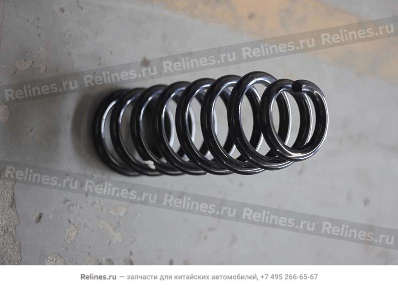 Front coil spring - 401***200