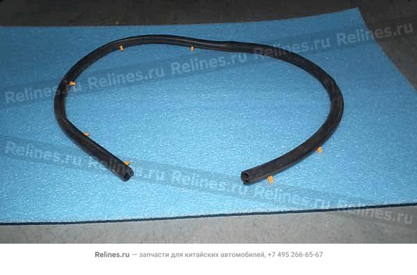 RR seal strip-hood