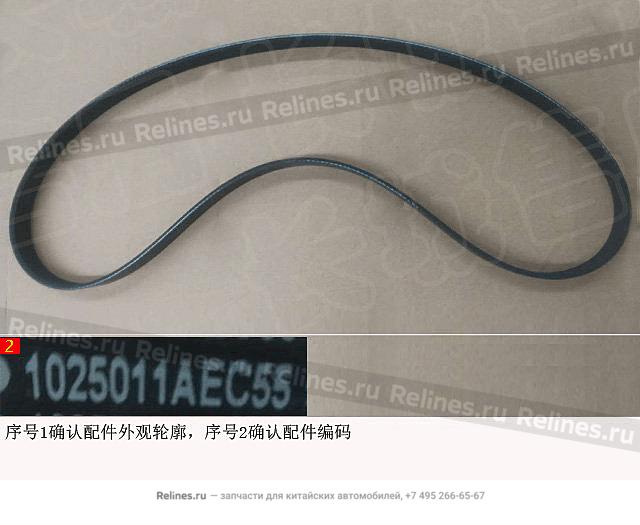 Ribbed belt - 1025***EC55