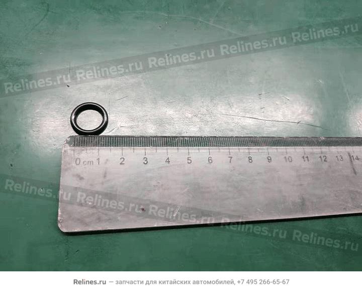 Sealing ring - 306***100