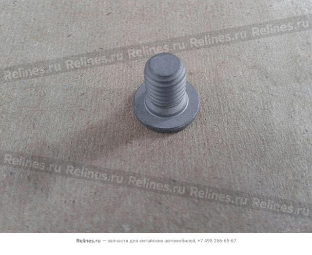 Brake disc screw - 30011***W09A