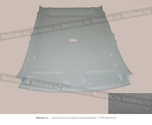 Roof liner assembly - 5702***P00