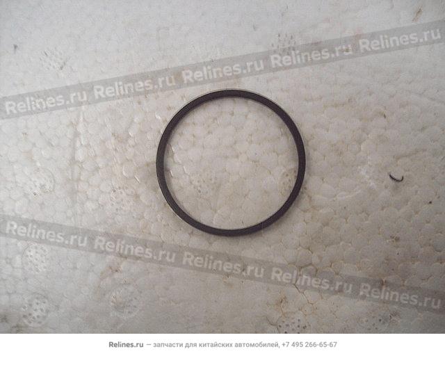 Oil seal