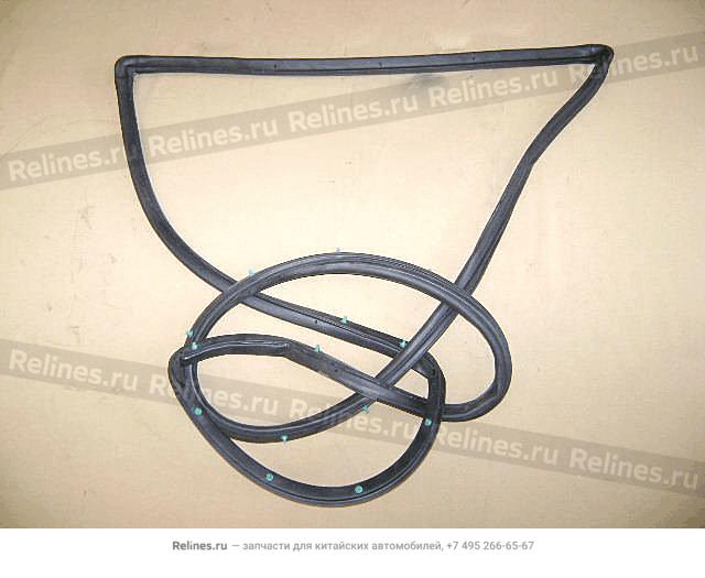 Seal strip-rr door RH(Sing b) - 6207***A05