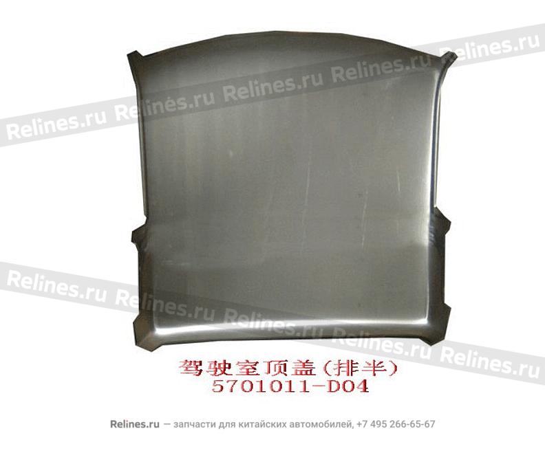 Roof panel(dr L)