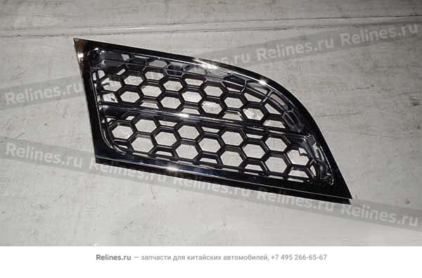 Radiator grilla-rh