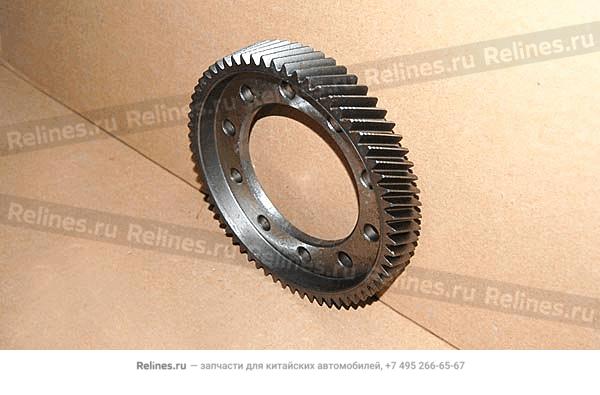 Driven gear - differentia - QR519M***701702