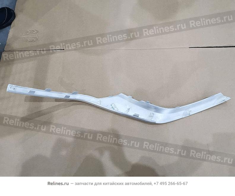 Trim strip, front bumper, RH - 60100***0896