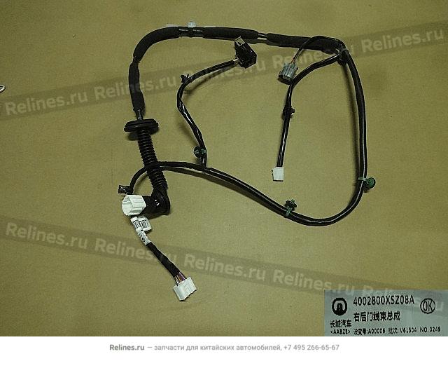 Harness assy-rr door RH - 40028***Z08A