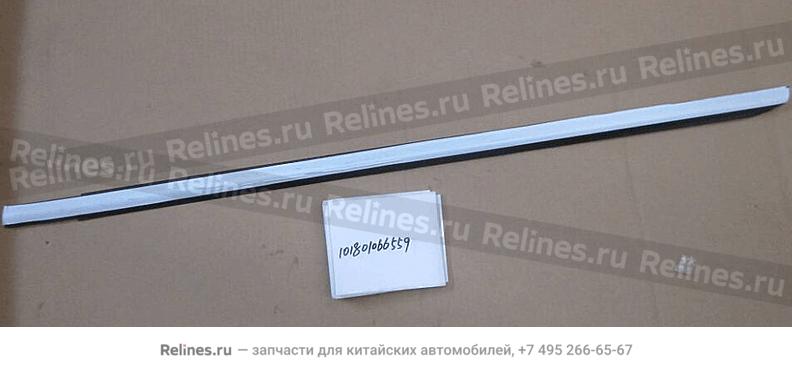 Outer sealing,LF door glass - 1018***6559