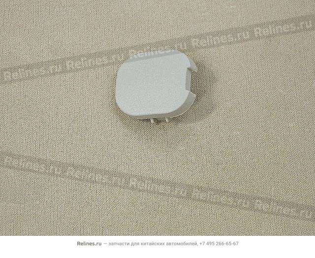 Plug cover tail door INR handle - 630250***09AE3