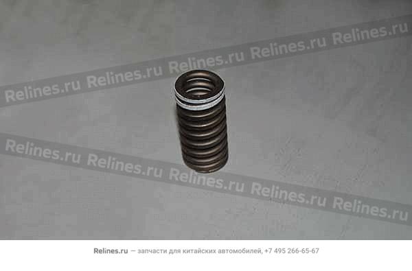 Valve spring - MD***57