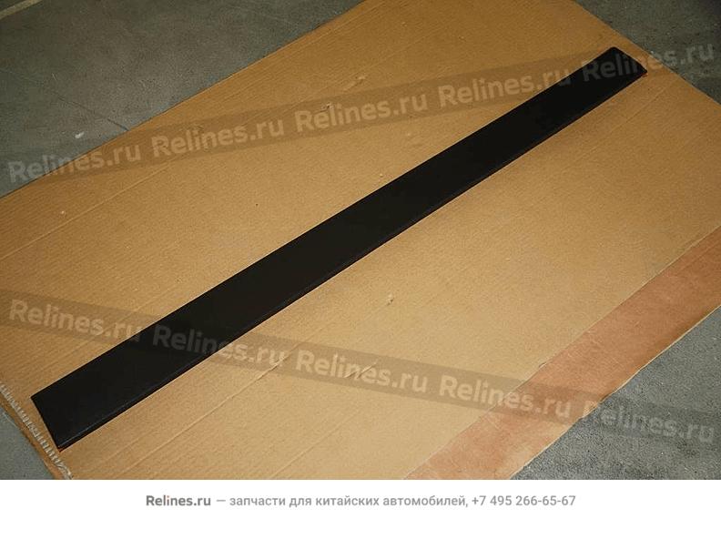 RF door rubbing strip assy.