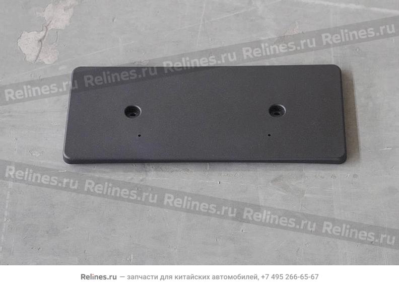 Mounting plate, rear license plate