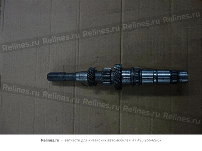 Input shaft