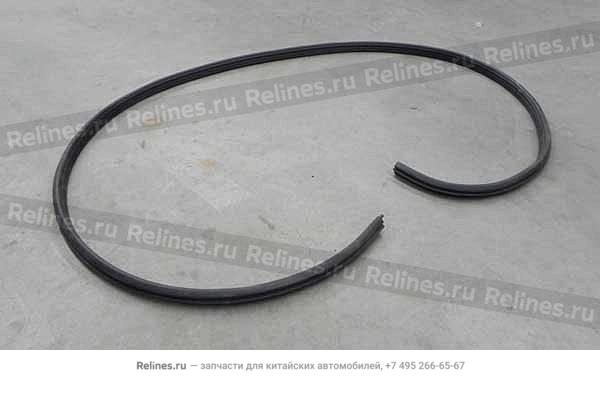 Weatherstrip - RR door RH - A18-***122