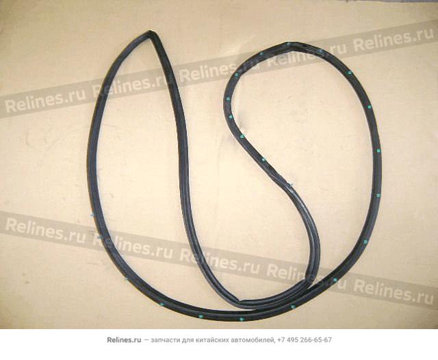 Rear door sealing strips LH - 6207***A05