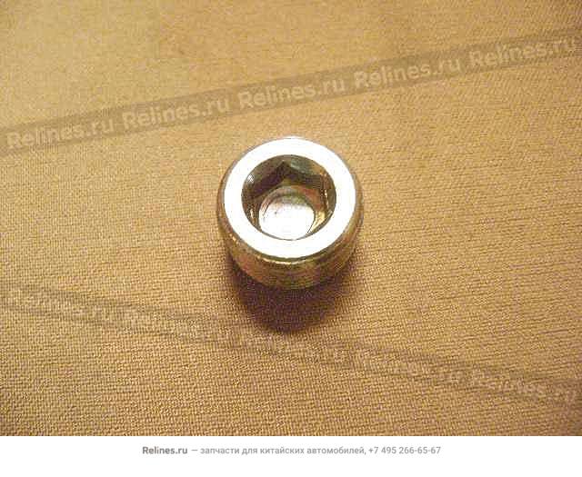 Screw plug-main oil duct - 1002***E10