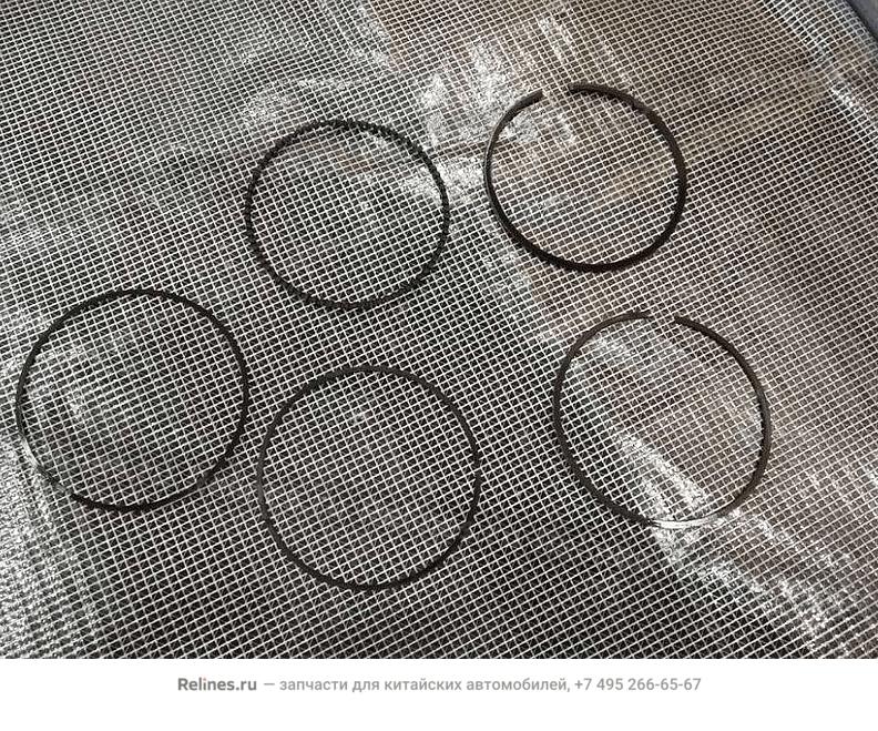 Piston ring module