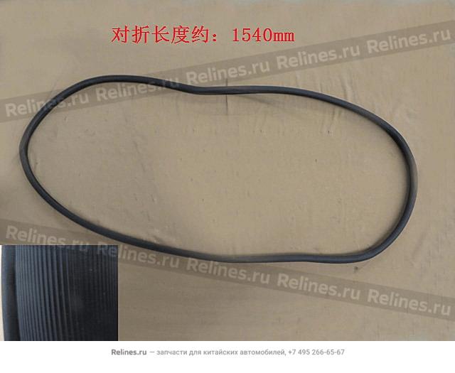 Seal strip-rr door frame RH