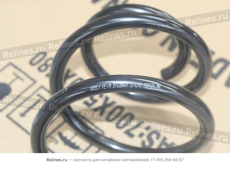 Coil spring, frt - 401***900