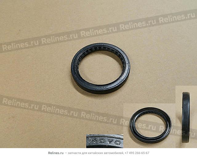 Shaft seal(output)