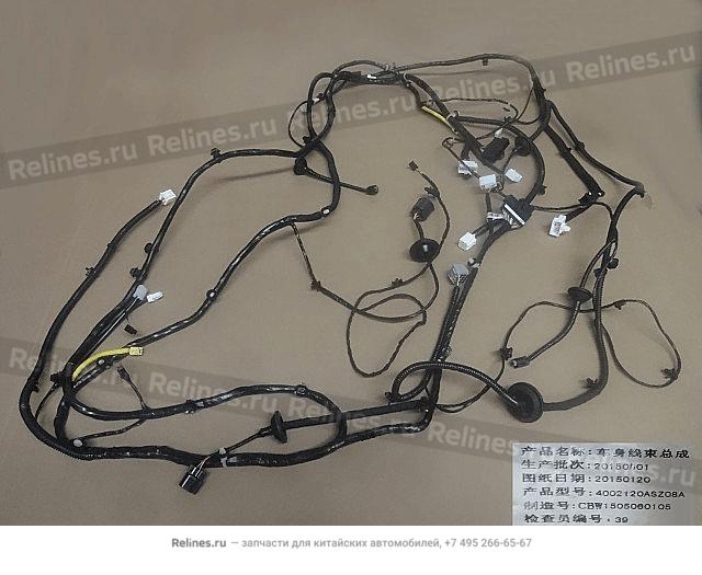 Harness assy body - 40021***Z08A