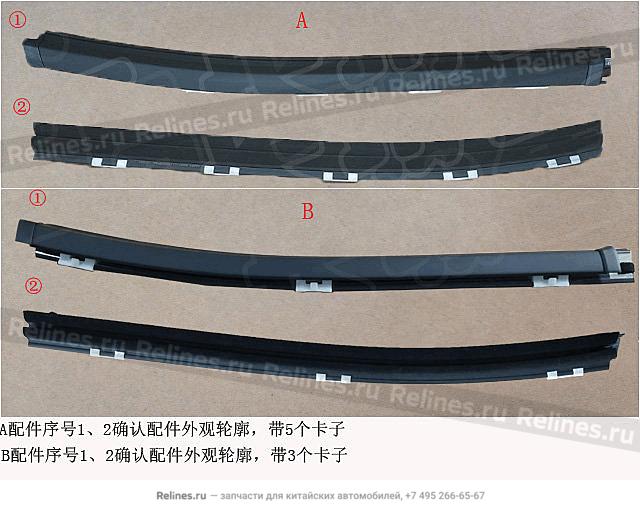 Belt weatherstrip,RH RR door,otr