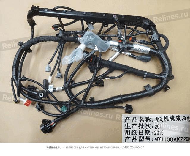 Engine harness assy - 40011***Z20D