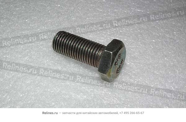 Bolt