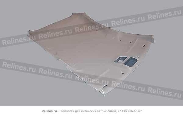 Ceiling - M12-5***10BD