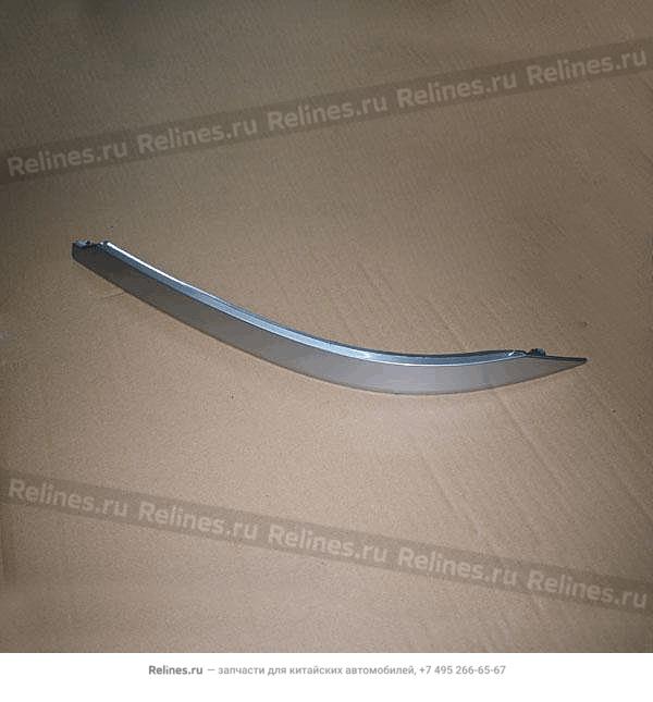 RH trim strip-rr bumper - 60200***AAADB