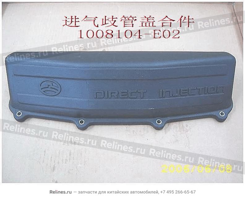 Intake manifold cover - 1008***E02