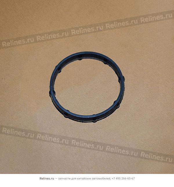 Seal ring - E3T10***3391