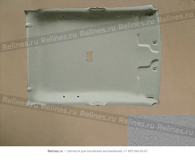 Roof liner assy - 570210***9XCCD