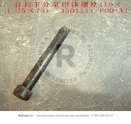 Caliper bolt(M10ЎБ1.25ЎБ75)