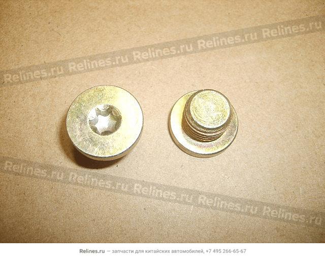 Screw plug-locating sprg - 5RYA***2076