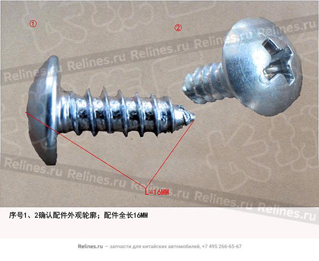 Cross head oval head screw - Q273***F3E